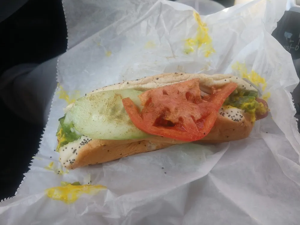Chicago Dog Ready for Battle